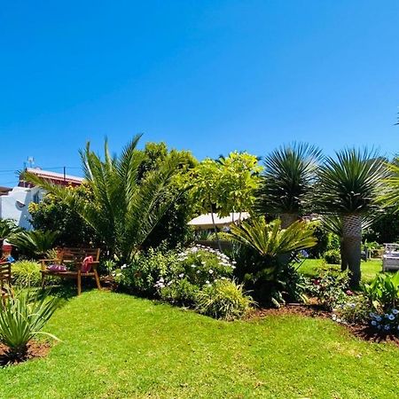Casa Diego Tegueste エクステリア 写真